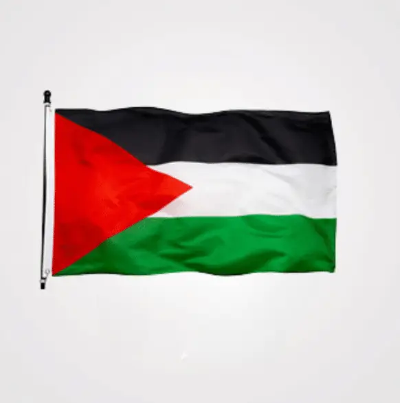 Palestine Flag